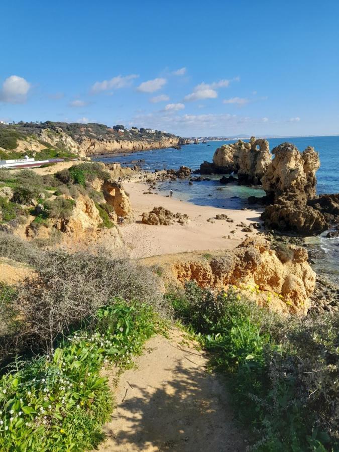 Tropicana One Bedroom Flat T1 In Albufeira Gale Close To 8 Beaches Exterior photo